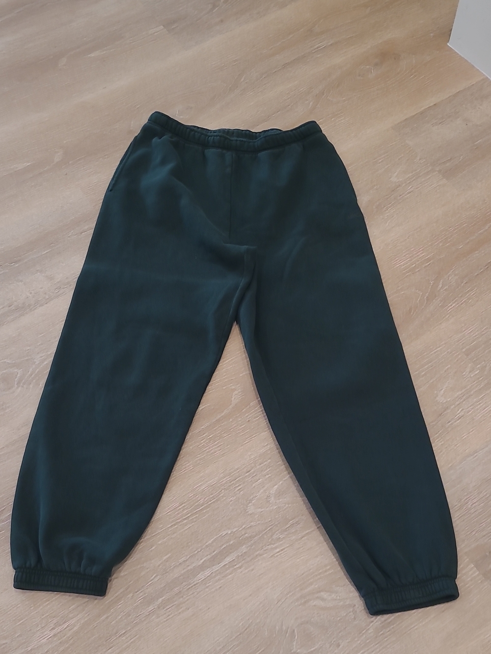 Aritzia Sweatfleece Joggers in Deep Forest Green